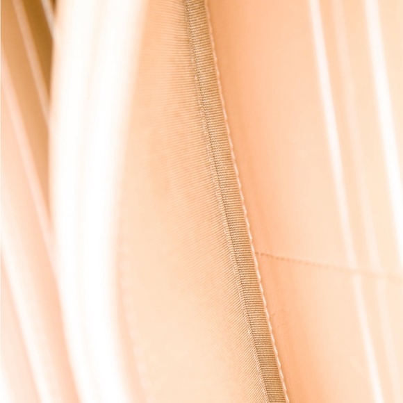 CHANEL Boy Galuchat Wallet on Chain NUDE IRIDESCENT 💕💕💕 - Picture 4 of 4